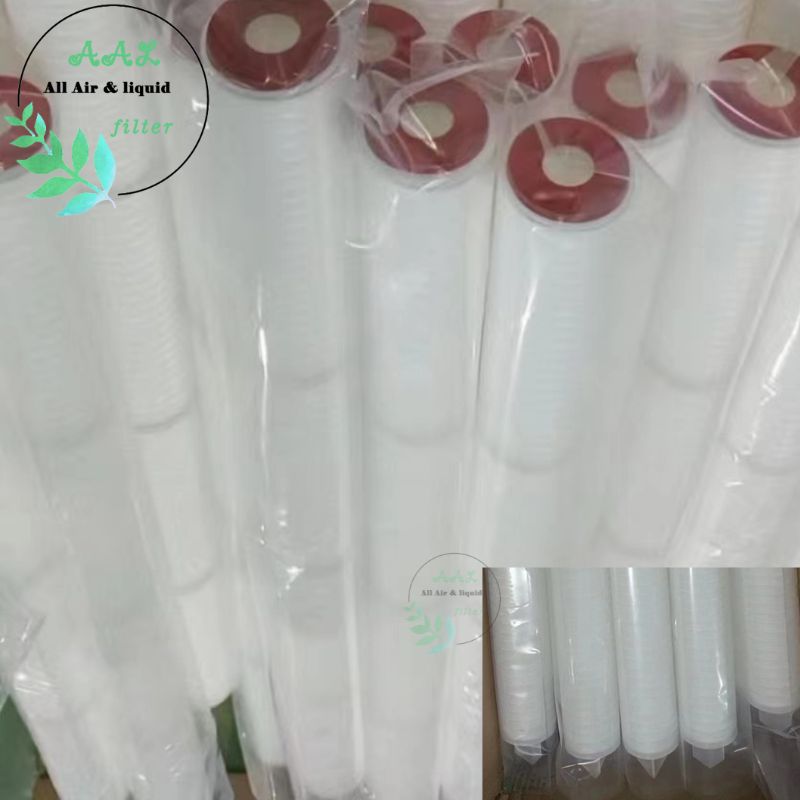 Hydrophilic PTFE Pleated Filter Cartridge