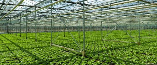 Air Filtration System for Agricultural Applications