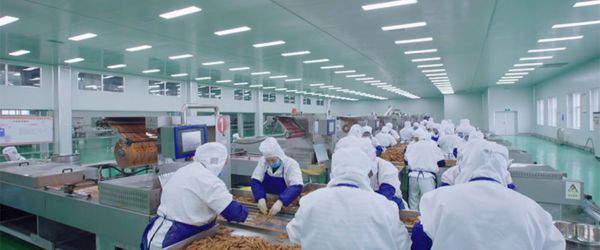 Air Filtration Solutions Food & Beverage Industry