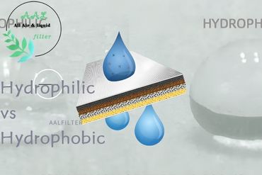 Hydrophilic vs Hydrophobic PTFE Pleated Membranes: A Complete Guide