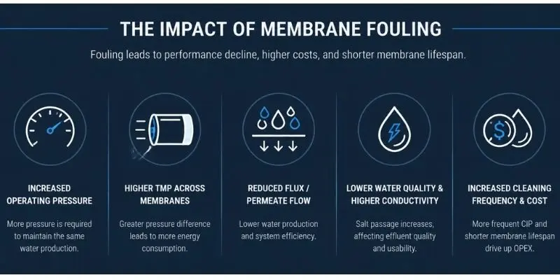 ultimate-guide-membrane-cip-filtration